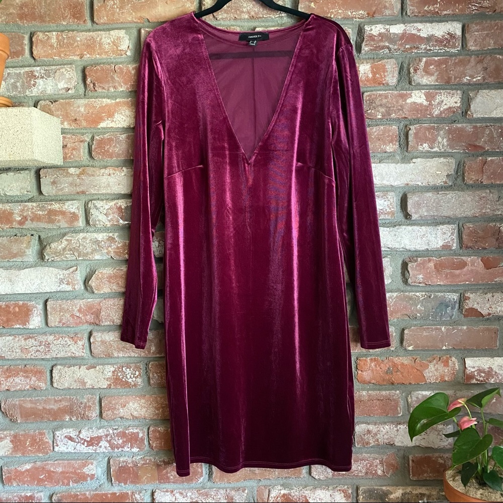 Forever 21 Plunging Mesh Insert Velvet Mini Dress